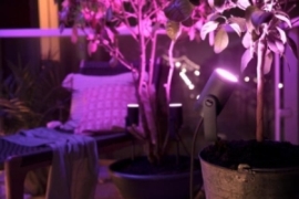 Reflektor punktowy Philips Hue Lily RGB