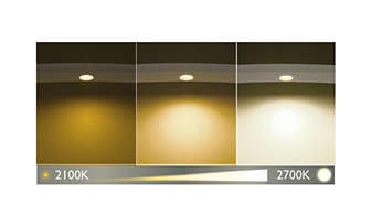 Różnica między ciepłą a zimną barwą światła w żarówce